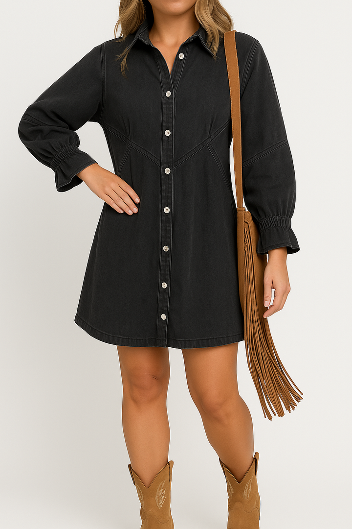 Dalia – Denim Button Closure Mini Dress